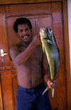 Galapagos Islands, Ecuador: crewman of the Samba with a fresh catch of Mahi Mahi (Dolphin Fish) - photo by C.Lovell