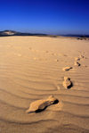 Galicia / Galiza - Corrubedo National Park - A Corua province: footprints on the sand dune - Barbanza Peninsula - Parque Natural Dunas de Corrubedo - Rias Baixas - photo by S.Dona'