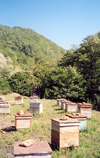 Georgia - Shida Kartli region: beehives outside Gori - photo by M.Torres