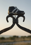Sweden - Gotland island - Visby: lost shoe / frlorad sko - photo by C.Schmidt