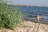 Fr island: toddler / baby on the beach - seaside - photo by C.Schmidt