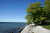 Gotland - Visby: Baltic coast near Almedalen park - photo by A.Ferrari