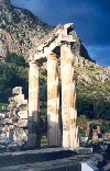 Greece - Delphi / Thelfous / Delfi (Sterea Ellada): the Tholos - detail -  the Doric columns - Unesco world heritage site (photo by Miguel Torres)