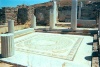 Greek islands - Delos: House of Dolphins named after the decoration of the floor mosaic (photo by B.CLoutier)