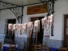 Greece - Githio (Peloponnese): octopus drying at a taverna - Kozia psarotaverna - photo by R.Wallace