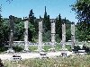 Greece - Arhea Olympia / Olimbia (Ilia - Peloponissos  peninsula): temple to Hera - Unesco world heritage site  (photo by Alex Dnieprowsky)