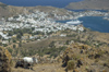 Greece, Dodecanese, Patmos:view of Patmos harbour from Hora with horses in foreground - photo by P.Hellander