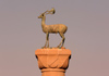 Greece - Rhodes island - Rhodes city - Mandraki Harbour - column at the entrance - deer - photo by A.Dnieprowsky