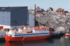 Greenland - Ilulissat / Jakobshavn - harbour - transport and supply ship Saqqit Ittuk in the port of Ilulissat / Jakobshavn - shrimp building in the background - photo by W.Allgower