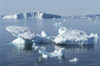 Greenland - Ilulissat / Jakobshavn - ice blocks melting - Jakobshavn Glacier, the Ilulissat Icefjord - photo by W.Allgower