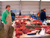 Greenland - Nuuk / Godthab: Braedet Market -  whale and dolphin meat - photo by B.Cloutier