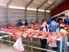 Greenland - Nuuk / Godthab: Braedet Market -  caribou meat - photo by B.Cloutier