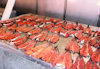 Greenland - Nuuk / Godthab: Braedet Market - home-made smoked salmon - photo by B.Cloutier
