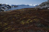 Greenland - Illuisaat - Sermermiut, a grass-covered broad ravine - place of an early Eskimo settlement - photo by W.Allgower