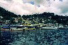 Grenada - Saint George's: harbour view - rhum runner (photographer: Simon Young)