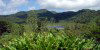 Grenada - Grand Etang - National Forest (photographer: R. Ziff)