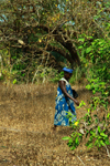 Rubane Island, Bijags Archipelago - UNESCO biosphere reserve, Bubaque sector, Bolama region, Guinea Bissau / Guin Bissau: jungle, woman / floresta, mulher - photo by R.V.Lopes