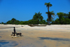 Praia de Varela / Varela beach, Cacheu region, Guinea Bissau / Guin Bissau: View from the beach, traditional boats, palms, children playing / Paisagem da praia, canoa tradicional, palmeiras, crianas a brincar - photo by R.V.Lopes