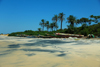 Praia de Varela / Varela beach, Cacheu region, Guinea Bissau / Guin Bissau: View from the beach, traditional fishing boats, palms / paisagem da praia, barcos de pesca tradicional, palmeiras - photo by R.V.Lopes