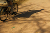 Praia de Varela / Varela beach, Cacheu region, Guinea Bissau / Guin Bissau: Shadow of a man riding a bycicle, everyday life / Sombra de um homem a andar de bicicleta, casa tradicional, vida quotidiana - photo by R.V.Lopes