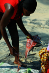 Praia de Varela / Varela beach, Cacheu region, Guinea Bissau / Guin Bissau: Women gutting fish / Mulher a arranjar o peixe - photo by R.V.Lopes