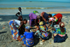 Praia de Varela / Varela beach, Cacheu region, Guinea Bissau / Guin Bissau: circle of women gutting the fish / crculo de mulheres a amanhar o peixe - photo by R.V.Lopes