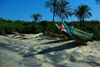 Praia de Varela / Varela beach, Cacheu region, Guinea Bissau / Guin Bissau: Traditional canoe, Traditional boats / Canoa tradicional, barcos de pesca tradicionais - photo by R.V.Lopes