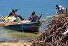 Fort-Libert, Nord-Est Department, Haiti: transporting wood on a fishing boat - photo by M.Torres