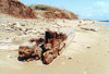 Hawaii - Lanai island: remains of a wooden ship - photo by G.Frysinger