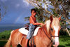 Hawaii - Maui island: horse and rainbow - Photo by G.Friedman