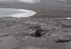 Heard Island: an Antarctic fur seal dozes amid volcanic rubble near Sealers Corner - photo by F.Lynch