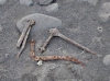 Heard Island: sealer's implements lie rusting in the sand (photo by Francis Lynch)