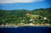 Honduras - Roatan island: lush shoreline - Caribbean Sea - photo by D.Forman