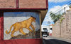 Tegucigalpa, Honduras: lioness mural under Parque La Leona, aka Parque Manuel Bonilla - photo by M.Torres