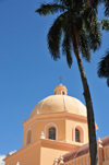 Tegucigalpa, Honduras: Metropolitan Cathedral - dome and palm tree - Catedral de San Miguel - photo by M.Torres