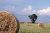 Hungary / Ungarn / Magyarorszg - Great Plain: field after the harvest - hay bales (photo by J.Kaman)