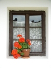 Hungary / Ungarn / Magyarorszg - Szentendre:  window with flower pot - Hungarian Open-Air Ethnographical Museum / Magyar Szabadteri Neprajzi Muzeum (photo by J.Kaman)