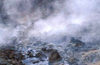 Iceland - Geysir: fumaroles / Stoombronnen: - photo by W.Schipper