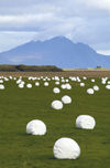 Iceland Hay bales and mountain (photo by B.Cain)