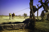 India - Thar desert, Gujarat: drawing water with a camel  - photo by E.Petitalot