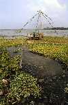 India - Cochin / Kochi: Chinese fishing nets - photo by W.Allgwer