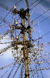 South India: cable tangle of a power and  telephone pole - third world - photo by W.Allgwer