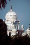 India - New Delhi: Gurdwara Damdama Sahib - Sikh temple (photo by Francisca Rigaud)