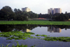 India - Calcutta / Kolkata (West Bengal): skyline and water - photo by Anamit Sen
