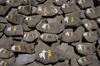India - Ladakh - Jammu and Kashmir: Mani stones - stones inscribed, with mantra, as a form of prayer in Tibetan Buddhism - religion - Buddhism - photo by W.Allgwer