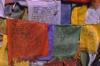 India - Ladakh - Jammu and Kashmir: Lungta-style prayer flags with the Wind Horse bearing the Three Jewels of Buddhism - photo by W.Allgwer