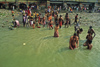 India - Calcutta / Kolkata (West Bengal): morning bath in the Ganges river - photo by E.Petitalot