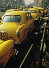 India - Calcutta / Kolkata (West Bengal): taxis in the front of Howard train station - yellow Hindustan Ambassadors - Indian cars - photo by E.Petitalot