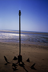 India - Diu: an anchor on a beach of Diu island - photo by E.Petitalot