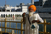 India - Amritsar (Punjab): Sikh visitor at the Golden Temple causeway - photo by E.Andersen